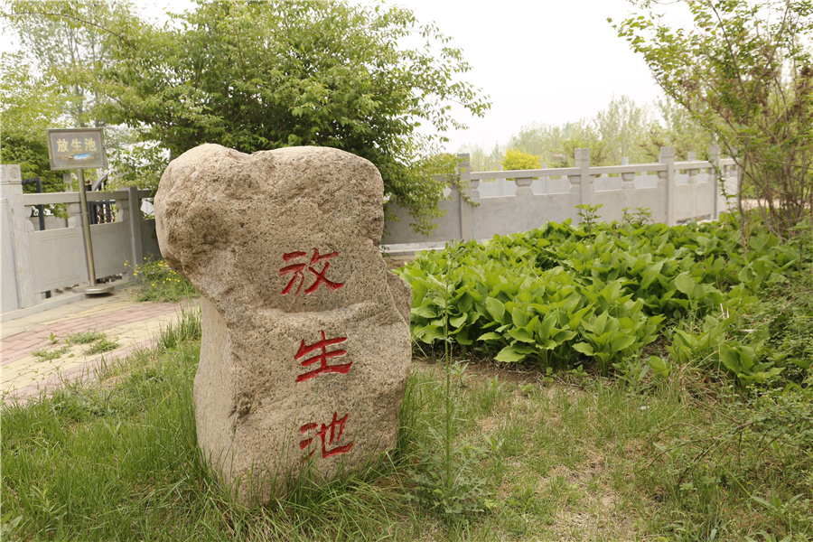 陵园一角