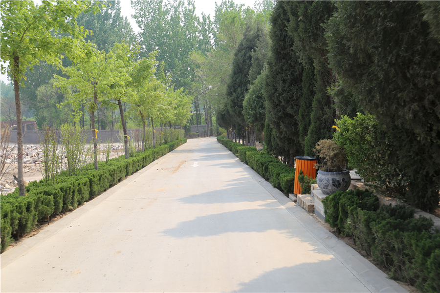 陵园道路风景