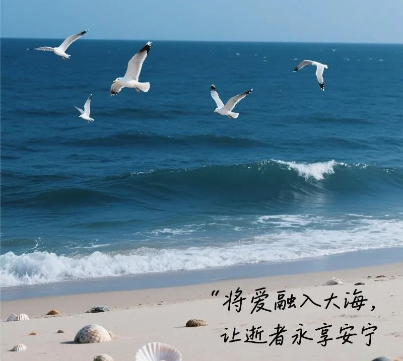骨灰海撒