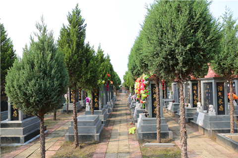 石家庄正定地区有哪些地方有墓地,分布在哪售价多少