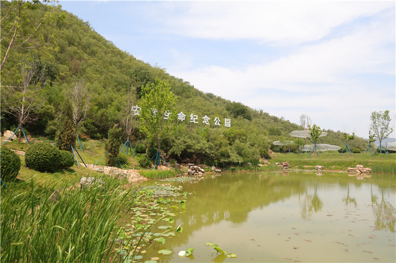 陵园环境一角