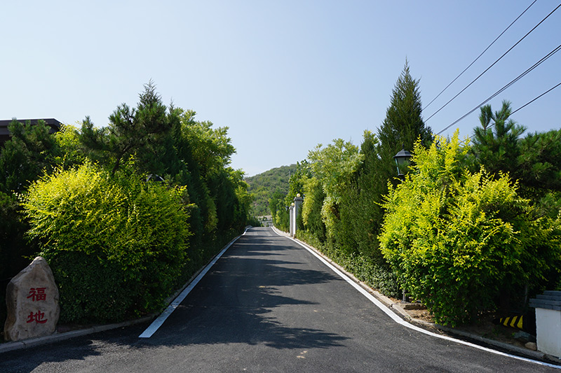 道路风景