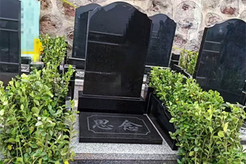 石家庄天安堂公墓有2代人墓地吗？多少钱一个