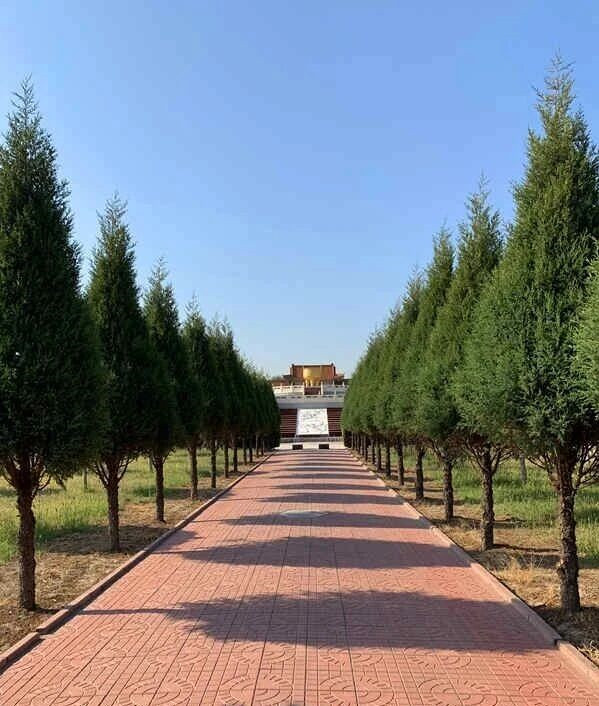 陵园道路 陵园道路