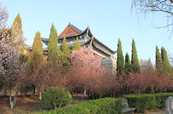 陵园环境 陵园环境