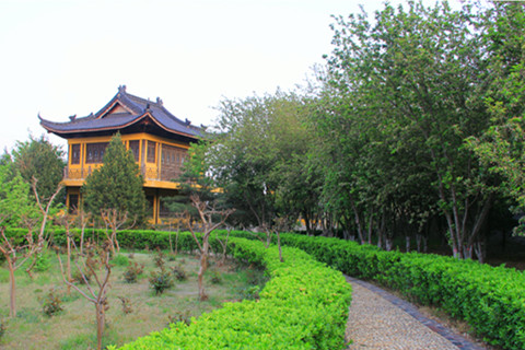 鹿泉区燕赵龙凤陵园有生态树葬吗？位置在哪？什么价格