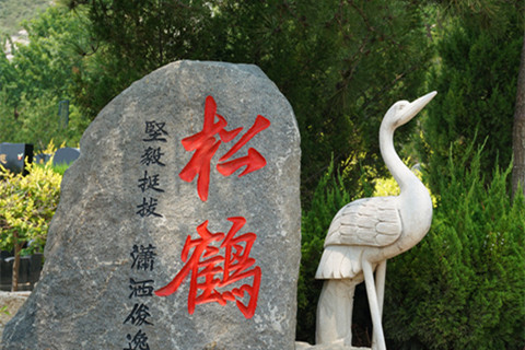 石家庄古中山陵园现在正常销售墓地了吗？咨询电话多少