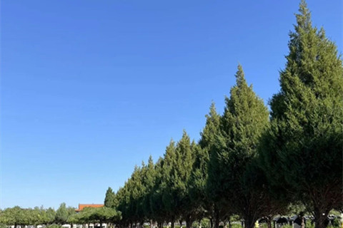 这个五一,在石家庄常山陵园为爱寻一处山水安息