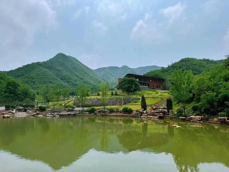 陵园绿化风景