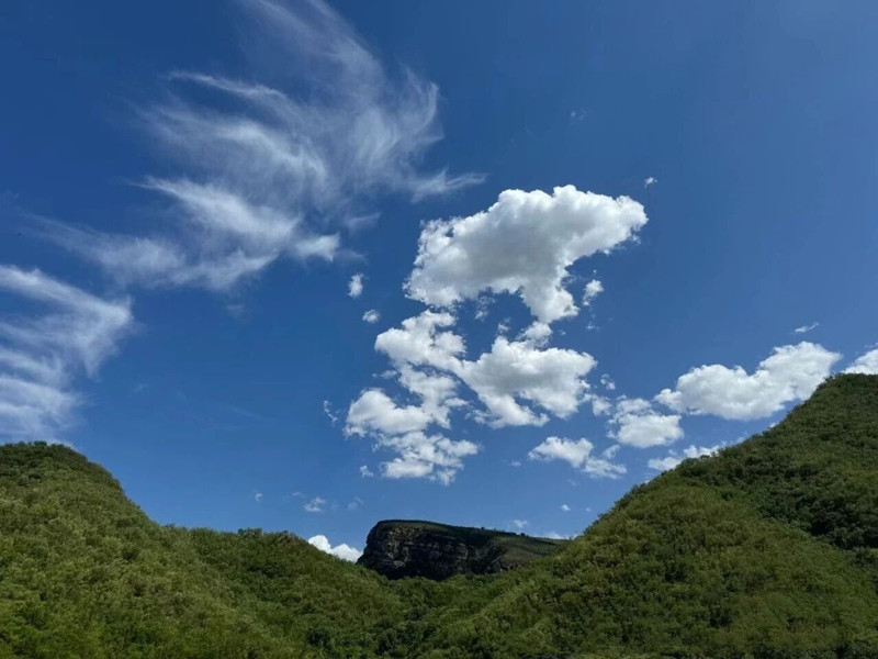 绿化