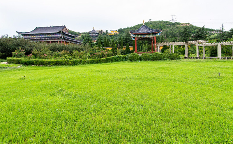 龙凤陵园草地 龙凤陵园草地