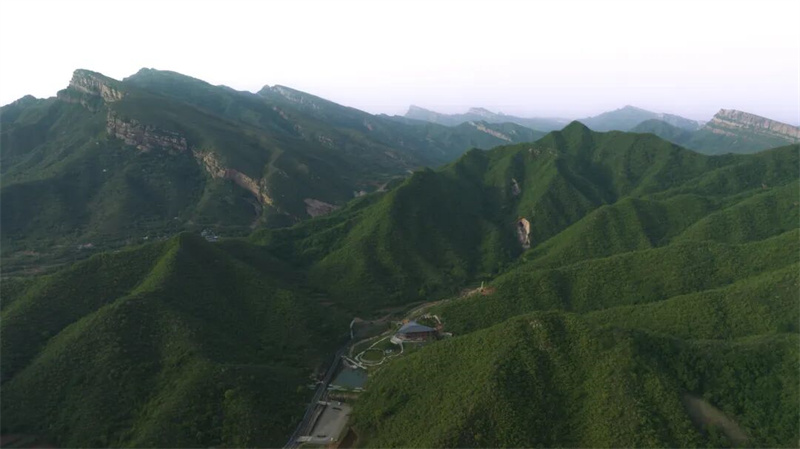 绿化环境 绿化环境